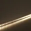 Лента светодиодная LEDх180/м 5м 16w/m 24в тепло-белый