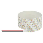                  Светодиодная лента LS2835-120LED-IP20-WW-eco-5м 12В
               