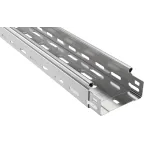                  Лоток перфорированный 50х100х3000-1.0
               