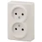 Розетка 2х2P, 16A-250В, ОУ, Эра Эксперт, сл.кость, 11-2202-02