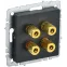 BRITE Аудиорозетка 4 поста РА10-БрЧ черный