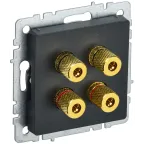                  BRITE Аудиорозетка 4 поста РА10-БрЧ черный
               