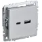 BRITE Розетка USB A+C 18Вт РЮ11-1-БрА алюминий