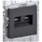 BRITE Розетка компьютерная двойная RJ45 кат.6 РК11-2-БрГ графит IEK