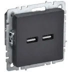                  BRITE Розетка USB A+A 3.1А РЮ10-1-БрЧ черный
               