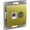 GLOSSA РОЗЕТКА двойная ТВ + компьютерная RJ45, кат. 5Е, ФИСТАШКОВЫЙ
