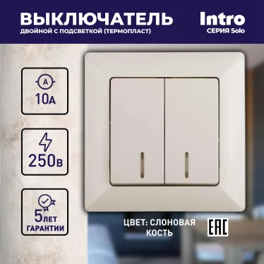 Выключатель Intro Solo 4-105-02 двухклавишный с подсветкой, 10А-250В, IP20, СУ, слоновая кость