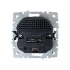 BRITE Розетка с заземлением с защитными шторками 16А с USB A+A 2,1А РЮш10-1-БрГ графит