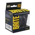 BRITE Розетка с заземлением с защитными шторками 16А с USB A+A 2,1А РЮш10-1-БрГ графит