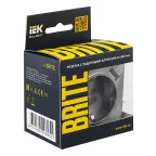 BRITE Розетка с заземлением с защитными шторками 16А с USB A+A 2,1А РЮш10-1-БрС сталь