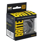 BRITE Розетка с заземлением с защитными шторками 16А с USB A+A 3,1А РЮш10-2-БрС сталь