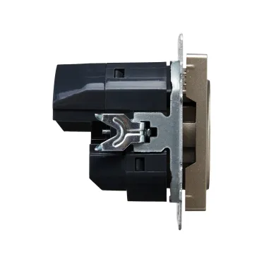 BRITE Розетка с заземлением с защитными шторками 16А с USB A+A 2,1А РЮш10-1-БрШ шампань