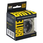 BRITE Розетка с заземлением с защитными шторками 16А с USB A+A 2,1А РЮш10-1-БрШ шампань