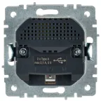 BRITE Розетка с заземлением с защитными шторками 16А с USB A+A 2,1А РЮш10-1-БрБ белый