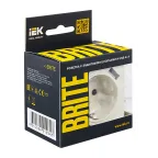 BRITE Розетка с заземлением с защитными шторками 16А с USB A+A 3,1А РЮш10-2-БрЖ жемчуг