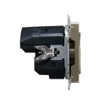 BRITE Розетка с заземлением с защитными шторками 16А с USB A+C 18Вт РЮш11-1-БрШ шампань