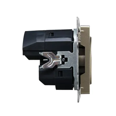 BRITE Розетка с заземлением с защитными шторками 16А с USB A+C 18Вт РЮш11-1-БрШ шампань
