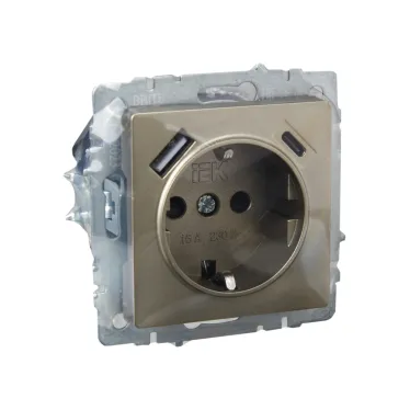 BRITE Розетка с заземлением с защитными шторками 16А с USB A+C 18Вт РЮш11-1-БрШ шампань