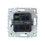 BRITE Розетка USB A+C 18Вт РЮ11-1-БрА алюминий