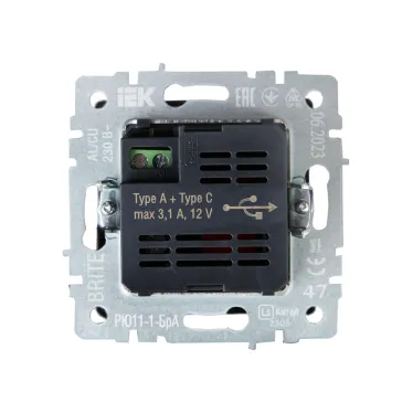 BRITE Розетка USB A+C 18Вт РЮ11-1-БрА алюминий