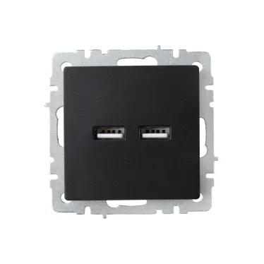 BRITE Розетка USB A+A 3.1А РЮ10-1-БрЧ черный