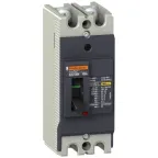 Выключатель автоматический двухполюсный EZC100 30 KA/380В 2Т 100 A