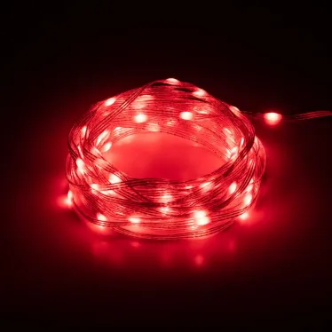 Умная гирлянда RGB, 10 м, ПДУ (управление цветом и режимами), таймер, USB, 100 LED, IP20 ERASG -01