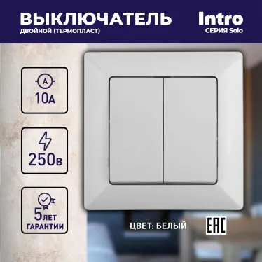 Выключатель Intro Solo 4-104-01 двухклавишный 10А-250В, IP20, СУ, белый