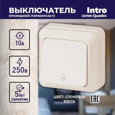 Переключатель Intro Quadro 2-103-02 одноклавишный 10А-250В, IP20, ОУ, Quadro, слоновая кость