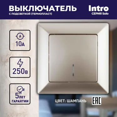 Выключатель Intro Solo 4-102-04 одноклавишный с подсветкой, 10А-250В, IP20, СУ, шампань