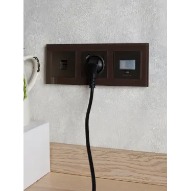 BRITE Розетка с заземлением с защитными шторками 16А с USB A+C 18Вт РЮш11-1-БрТБ бронза