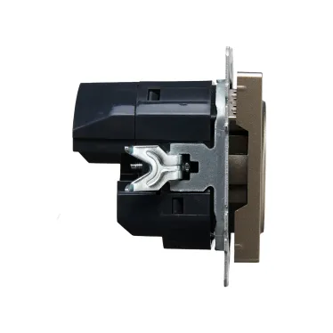 BRITE Розетка с заземлением с защитными шторками 16А с USB A+A 3,1А РЮш10-2-БрШ шампань
