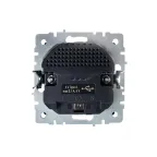 BRITE Розетка с заземлением с защитными шторками 16А с USB A+A 3,1А РЮш10-2-БрШ шампань