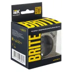 BRITE Розетка с заземлением с защитными шторками 16А с USB A+A 3,1А РЮш10-2-БрШ шампань