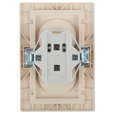 Розетка Intro Plano 1-204-04 без заземления двойная 2х2P, 16А-250В, IP20, СУ, Plano, шампань