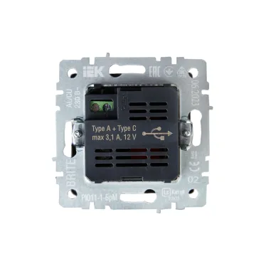 BRITE Розетка USB A+C 18Вт РЮ11-1-БрЧ черный