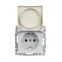 BRITE Розетка с заземлением с защитными шторками и крышкой 16А IP20 РСбш10-3-БрА алюминий