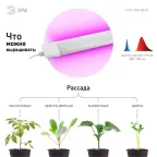 Линейный светильник красно-синего спектра FITO-36W-RB-N (10/240)