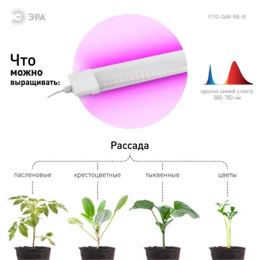 Линейный светильник красно-синего спектра FITO-36W-RB-N (10/240)