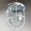 Светильник светодиодный ДСП-01-09-104 36В IP54 Желудь LED