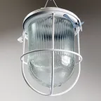 Светильник светодиодный ДСП-01-09-104 36В IP54 Желудь LED