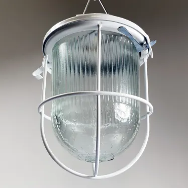 Светильник светодиодный ДСП-01-09-104 36В IP54 Желудь LED