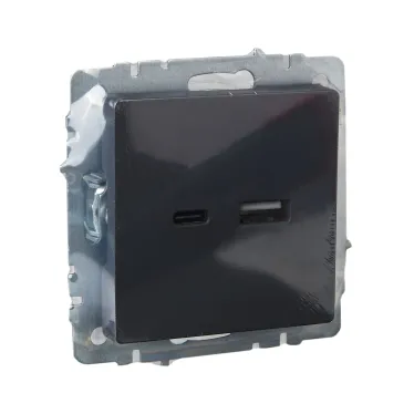 BRITE Розетка USB A+C 18Вт РЮ11-1-БрГ графит