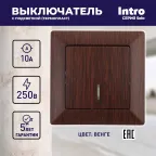 Выключатель Intro Solo 4-102-10 одноклавишный с подсветкой, 10А-250В, IP20, СУ, венге