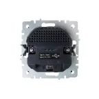 BRITE Розетка с заземлением с защитными шторками 16А с USB A+C 18Вт РЮш11-1-БрГ графит