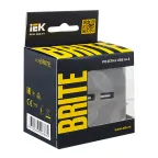 BRITE Розетка USB A+A 3.1А РЮ10-1-БрС сталь