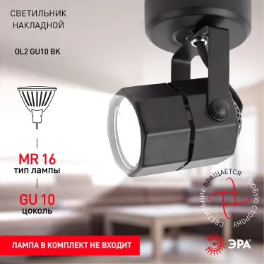 Светильник Накладной, черный (50/900)