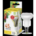                  Лампа светодиодная LED-R50-standard 5Вт 230В Е14 3000К 450Лм | 4690612001531 | ASD
               