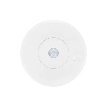 Указатель аварийный светодиодный ORBIT 6513-2 LED AT 2Вт 3x IP65 непостоянный встраиваемый | 4502003840 | Световые Технологии