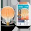 Лампа светодиодная филаментная Smart Home DIM+CCT E27 G95 Golden 6,5 Вт 2000-5500 К 1/40 | 1340112 | Gauss